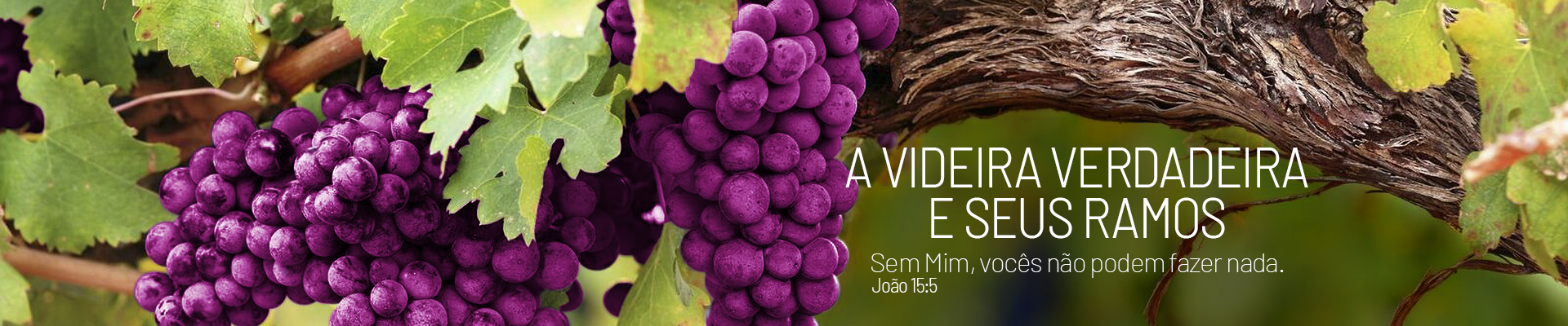 Banner Home 01 - Portugues