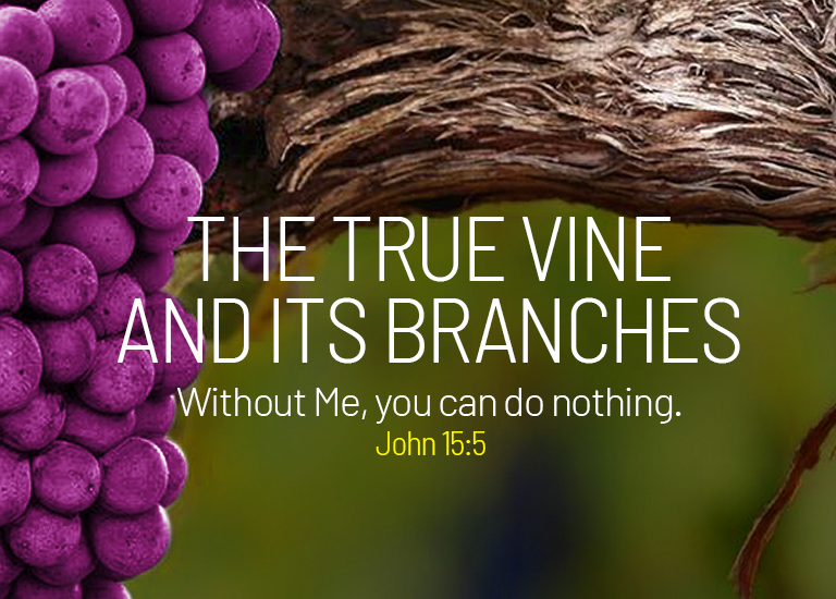 Banner Home Mobile 00001 Ingles